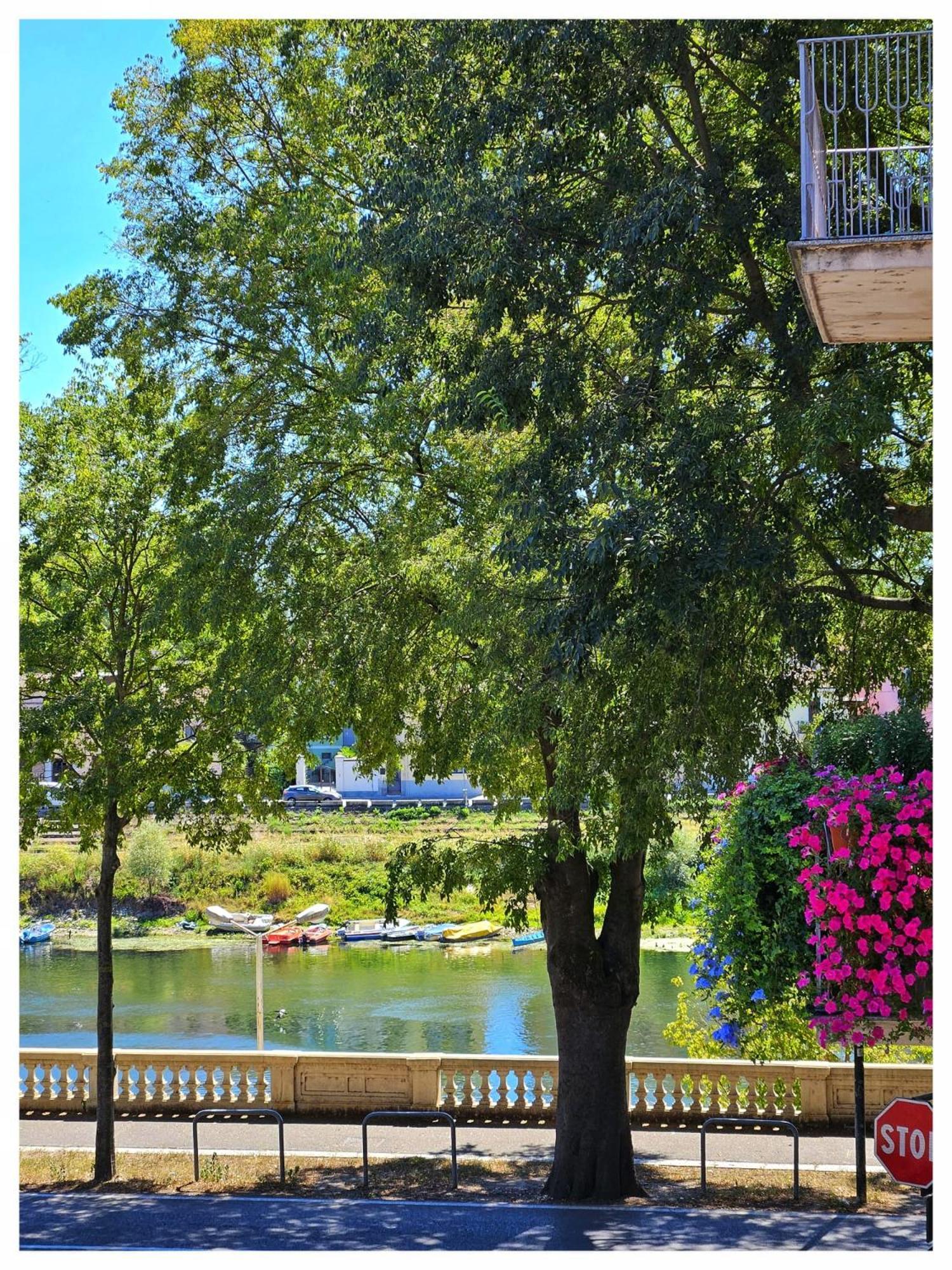 Vm_Lungoticino Nassy Lägenhet Pavia Exteriör bild